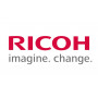 Ricoh Εκτυπωτής κίτρινο (D0BM3003)
