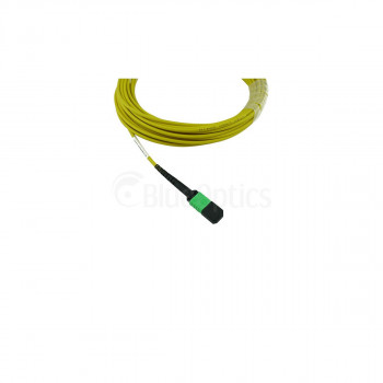 BlueOptics UACC-OFC-SA-MPMP-5M συμβατό MPO-MPO Μονότροπο OS2 Καλώδιο Patch 5 μέτρα