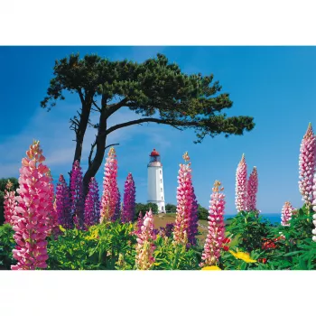 Schmidt Spiele Dornbusch Leuchtturm, Hiddensee Παζλ 1000 τεμαχίων