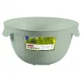 CURVER Kitchen Essentials Στραγγιστήρι, Πράσινο