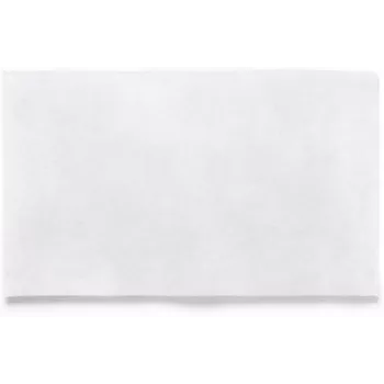 RAYEN Φίλτρο για απορροφητήρα 45x54cm