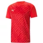 Ανδρικό T-Shirt Puma teamULTIMATE κόκκινο 705371 01 M
