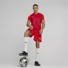 Ανδρικό T-Shirt Puma teamULTIMATE κόκκινο 705371 01 M