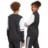 Παιδικό φούτερ adidas Squadra 25 Sweat Crew μαύρο JE2773 164cm