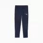 Ανδρικό αθλητικό παντελόνι Puma Team Goal Training μπλε 658639 06 S