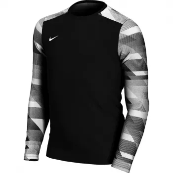 Nike Dry Park IV JSY LS GK Junior Τερματοφύλακα Φούτερ Μαύρο CJ6072 010 S