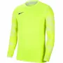 Nike Dry Park IV JSY LS GK Junior Lime φούτερ τερματοφύλακα CJ6072 702 XS