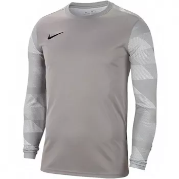 Nike Dry Park IV JSY LS GK Junior Αθλητικό Μπλουζάκι Τερματοφύλακα Γκρι CJ6072 052 S