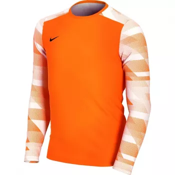 Nike Dry Park IV JSY LS GK Junior Αθλητικό Μπλουζάκι Τερματοφύλακα Πορτοκαλί CJ6072 819 S