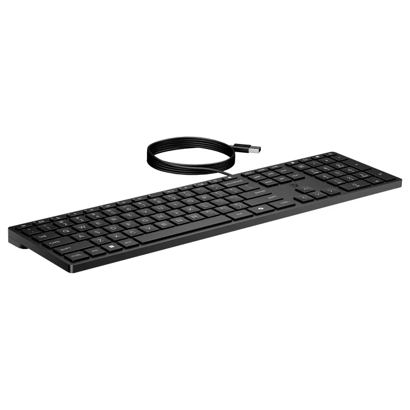 HP Wired 320K Πληκτρολόγιο Nordic (UK)