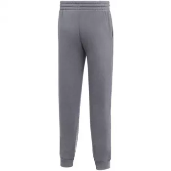 Nike Park 26 Fleece παντελόνι jogging παιδικό γκρι IB1252 071 XS