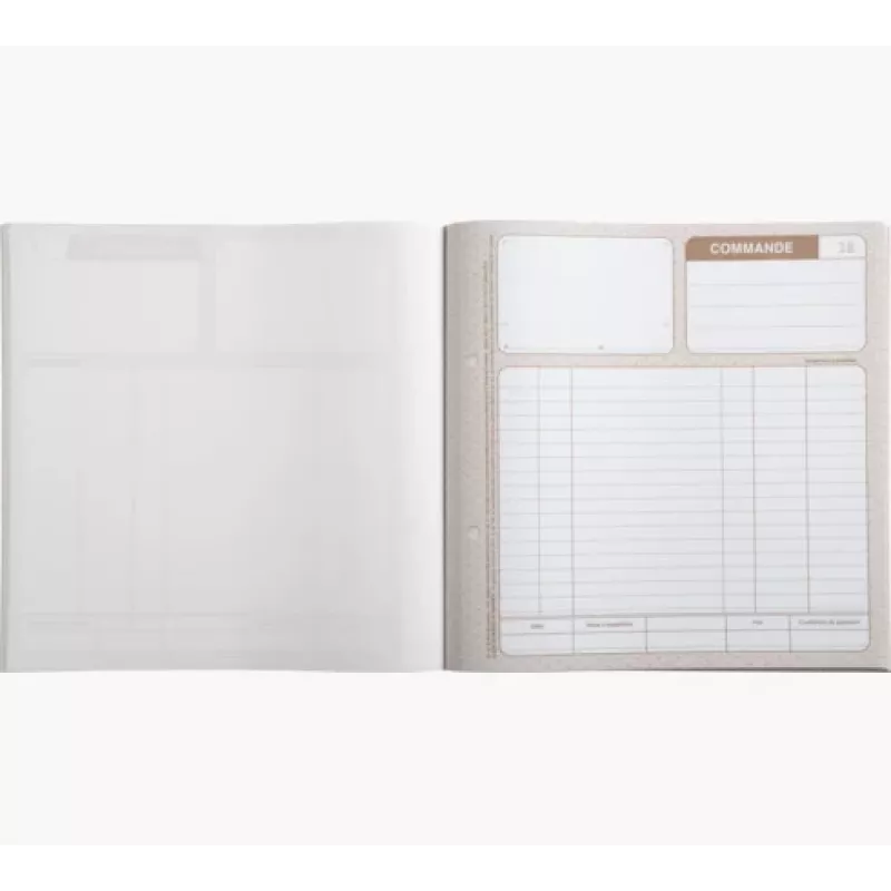 LE DAUPHIN Manifold Commandes, 210 x 210 mm, τριπλό (1173D) - 1 μπλοκ