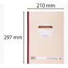 Le Dauphin Βιβλίο με καρμπόν Έντυπα τιμολογίων, A4, τριπλό, 50 σετ (1233D)