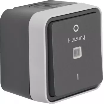 Hager WNC015 2-πολικός χωνευτός διακόπτης ελέγχου με λυχνία ελέγχου, γκρι