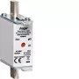 Hager LNH0035M NH000 gG 500V 35A ασφάλεια με δείκτη K
