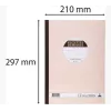 Le Dauphin Manifold Recettes-Dépenses, 297 x 210 mm, dupli (1502D) - 1 μπλοκ