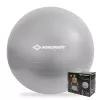 SCHILDKROT Μπάλα γυμναστικής 65 cm Ασημί Anti-Burst 960156