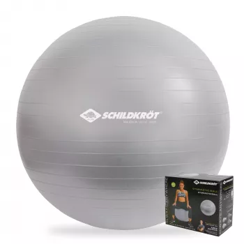 SCHILDKROT Μπάλα γυμναστικής 65 cm Ασημί Anti-Burst 960156