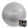 SCHILDKROT Μπάλα γυμναστικής 65 cm Ασημί Anti-Burst 960156