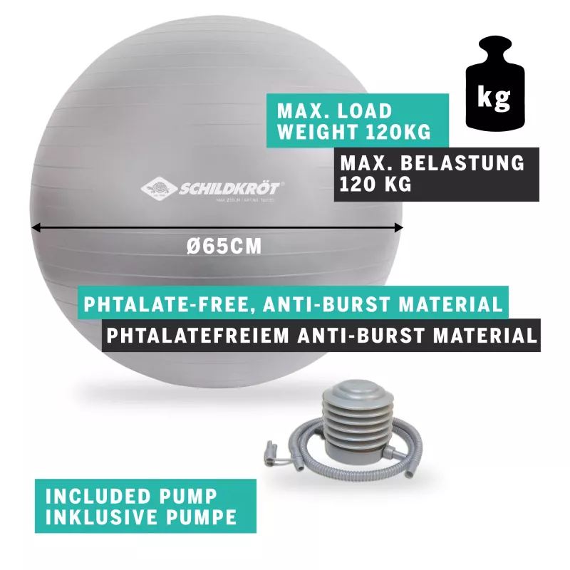 SCHILDKROT Μπάλα γυμναστικής 65 cm Ασημί Anti-Burst 960156