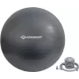 SCHILDKRÖT Μπάλα γυμναστικής 750 mm Ανθρακί Anti-Burst 960157