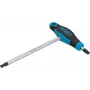 HAZET κατσαβίδι με λαβή T 829KKT-T30 | TORX TX30 | λεπίδα 100 mm