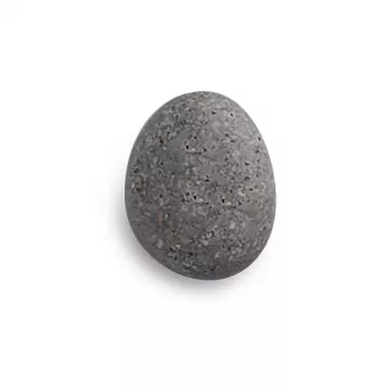 Zeller 6 Μαγνήτες πέτρας Γκρι 2,1 x 1,8 x 1,0 cm (11219)