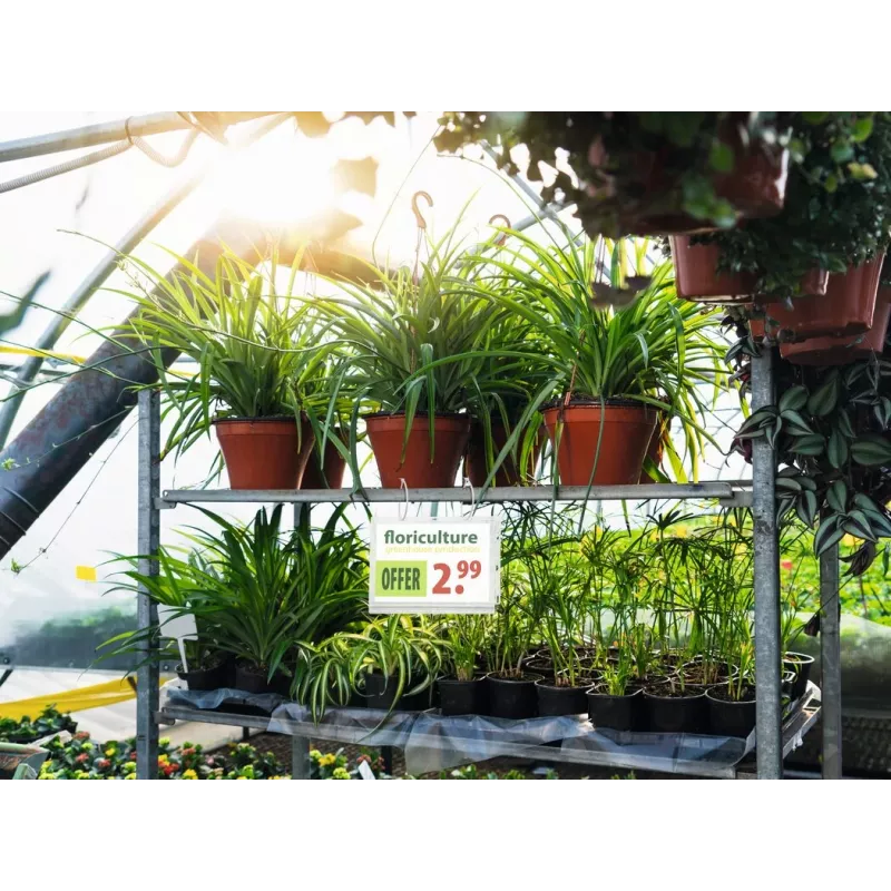 DURABLE Αδιάβροχες θήκες αφίσας A5 με δεματικά, συσκευασία 5 τεμ. (505919)