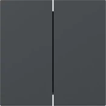 Gira Κάλυμμα διακόπτη 349528, 2πλό, ίσιο, Ανθρακί, System 55