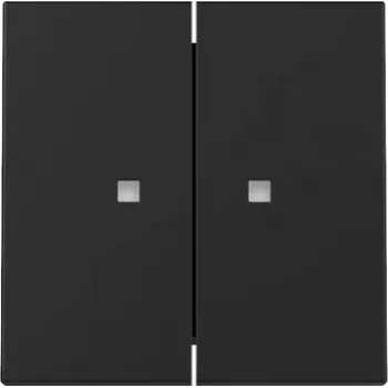 Gira System 55 Κάλυμμα πλήκτρου, 2πλό, για λειτουργία ελέγχου, Μαύρο ματ 3631005