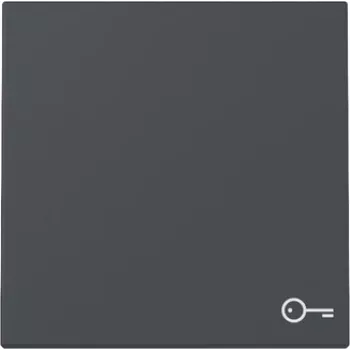 Gira System 55 Πλαίσιο με σύμβολο πόρτας, ανθρακί 328728