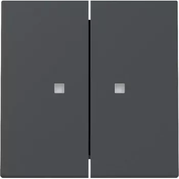 Gira System 55 Διπλό κάλυμμα διακόπτη με παράθυρο ελέγχου, Anthrazit Matt 363128