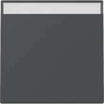 Gira System 55 Πλήκτρο διακόπτη Anthrazit Matt 329928