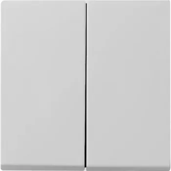 Gira System 55 κάλυμμα πλήκτρου διακόπτη 2 απλό, γκρι 0295015