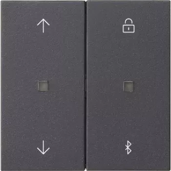 Gira System 3000 Χρονοδιακόπτης περσίδων και ρολών Bluetooth ανθρακί 536728