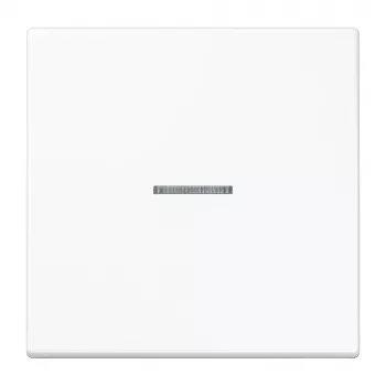 Jung KNX RF Μπουτόν 1 θέσης Duroplast σειρά LS λευκό alpin LS10911STRFWW