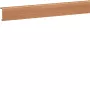 Hager SL200552D2 κανάλι καλωδίων σοβατεπί 20x55 mm διακοσμητικό οξιάς 2 m