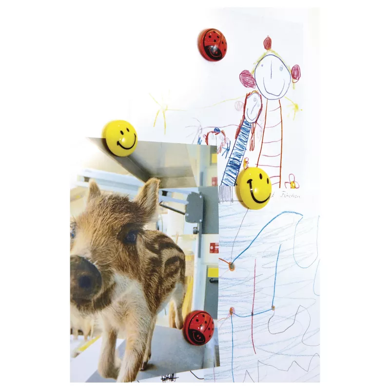 Magnetoplan 16672 Smiley Board μαγνήτες Ø 30 mm, 6 τεμ.