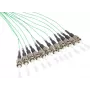 GoodConnections Alcasa LW-802PT 2m 12x ST Türkis καλώδιο patch LWL (LW-802PT)