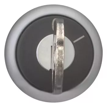 Eaton M22-WRS-A1 Διακόπτης με κλειδί, 2 θέσεων, με ασφάλιση, μαύρος ενεργοποιητής, ασημί τιτάνιο μπροστινός δακτύλιος, τοποθέτηση 22,5 mm, IP66/IP67/IP69K 229092