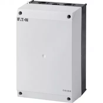 Eaton CI-K4-125 Κενό περίβλημα για πλάκα τοποθέτησης, 160 x 240 x 125 mm, Ανοιχτό γκρι (RAL 7035), Πολυανθρακικό, IP65, IK08 206897