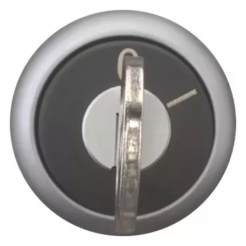 Eaton M22-WRS-MS2 διακόπτης επιλογής με κλειδί, 2 θέσεις, με ασφάλιση, τιτάνιο μπροστινός δακτύλιος, κλειδί MS2, 22,5 mm τοποθέτηση 111778
