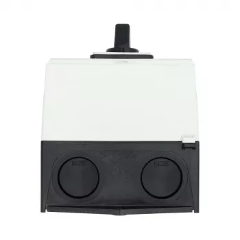 Eaton T3-4-8902/I2 4πολικός διακόπτης φορτίου 32A, Γκρι 215224