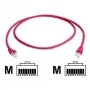 Telegärtner CAT 6A S/FTP Crossover Patch καλώδιο RJ45 5m κόκκινο LSZH L00003A0078