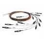 Telegärtner L00889A0035 SC-Singlemode καλώδιο σύνδεσης με αυτί συγκόλλησης