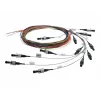 Telegärtner L00819A0067 Καλώδιο σύνδεσης οπτικών ινών ST πολυτροπικό
