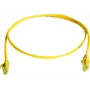 Telegärtner Καλώδιο Patch Cat6 U/UTP RJ45, 2 m, Γκρι L00001A0236
