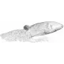 ΑΞΕΣΟΥΑΡ Κομφετί λευκό UV-ενεργό 7mm 10kg (51707599)
