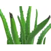 EUROPALMS τεχνητό φυτό Aloe Vera σε μαύρη γλάστρα, 63cm 82809112
