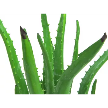 EUROPALMS τεχνητό φυτό Aloe Vera σε μαύρη γλάστρα, 63cm 82809112